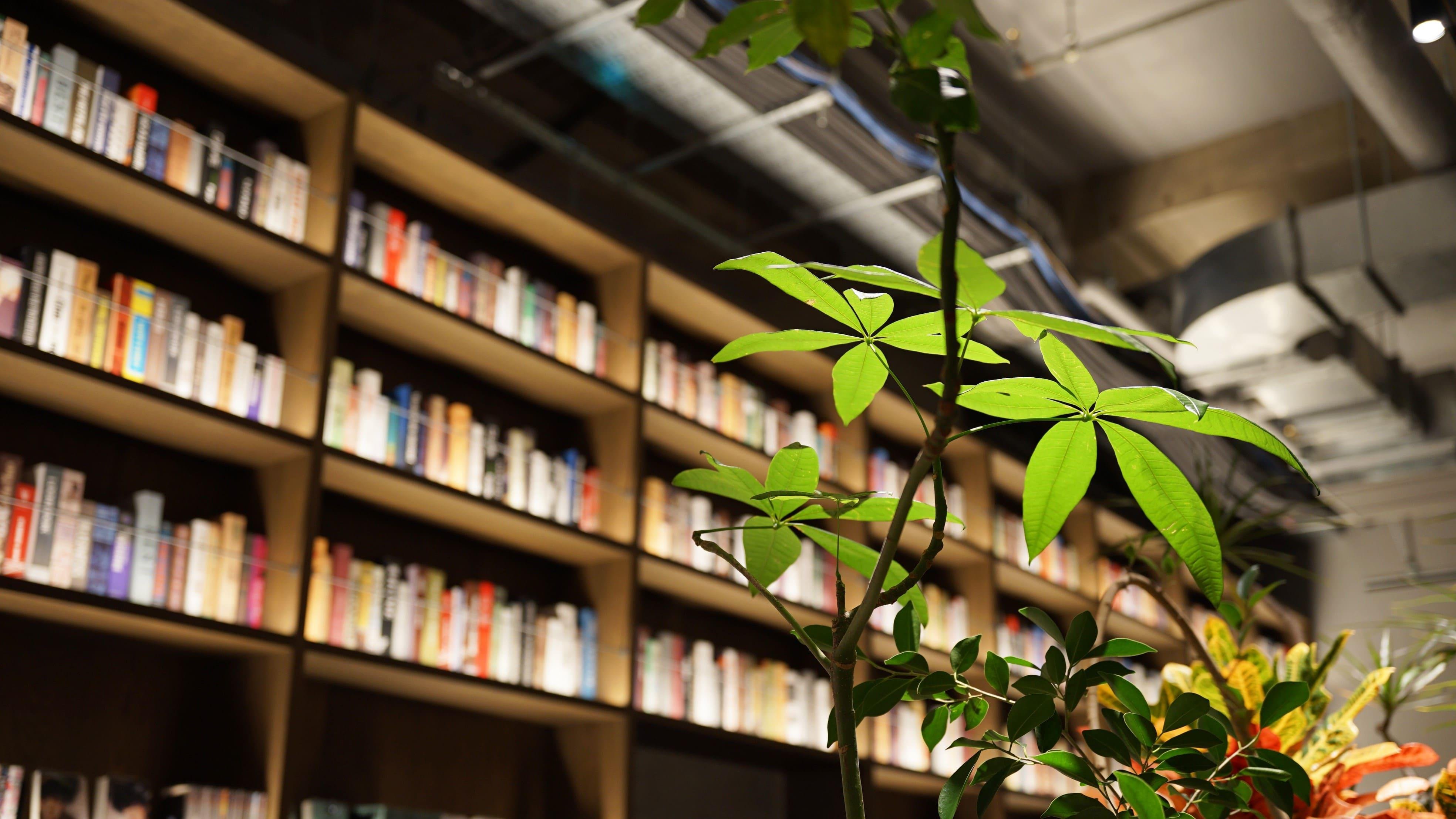 SHARE LOUNGE馬事公苑 2月6日（金）オープン